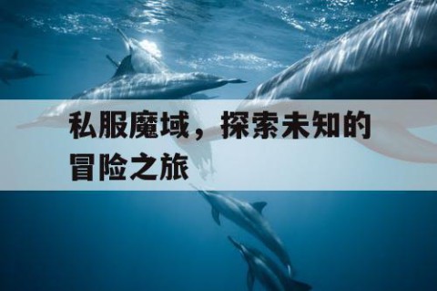 私服魔域，探索未知的冒险之旅