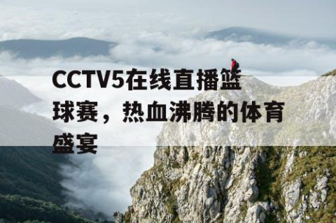 CCTV5在线直播篮球赛，热血沸腾的体育盛宴