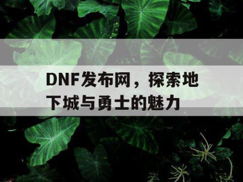 DNF发布网，探索地下城与勇士的魅力