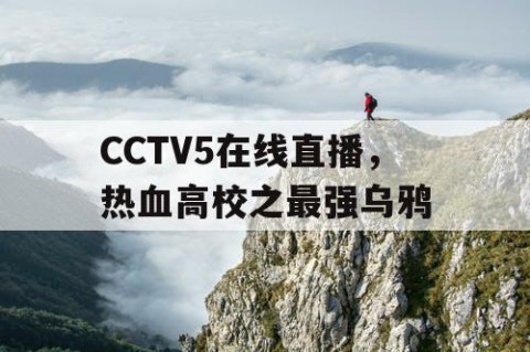CCTV5在线直播，热血高校之最强乌鸦