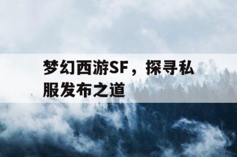 梦幻西游SF，探寻私服发布之道