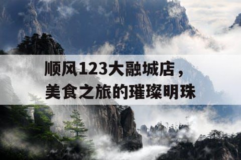 顺风123大融城店，美食之旅的璀璨明珠