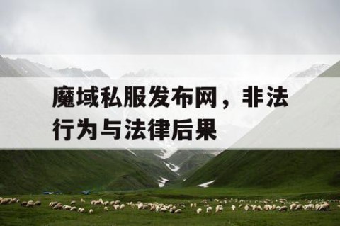 魔域私服发布网，非法行为与法律后果