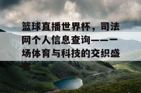 篮球直播世界杯，司法网个人信息查询——一场体育与科技的交织盛宴