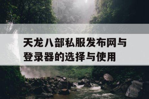 天龙八部私服发布网与登录器的选择与使用
