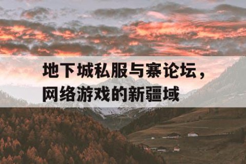 地下城私服与寨论坛，网络游戏的新疆域