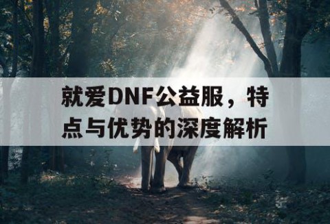 就爱DNF公益服，特点与优势的深度解析