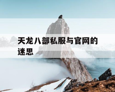 天龙八部私服与官网的迷思