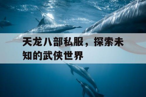 天龙八部私服，探索未知的武侠世界