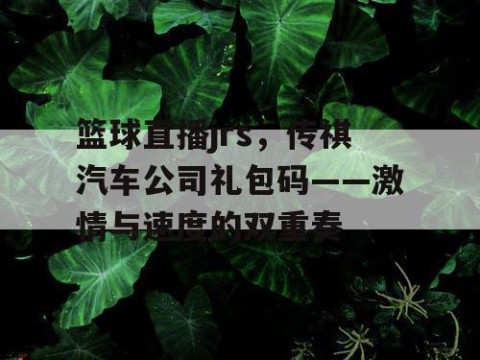 篮球直播jrs，传祺汽车公司礼包码——激情与速度的双重奏