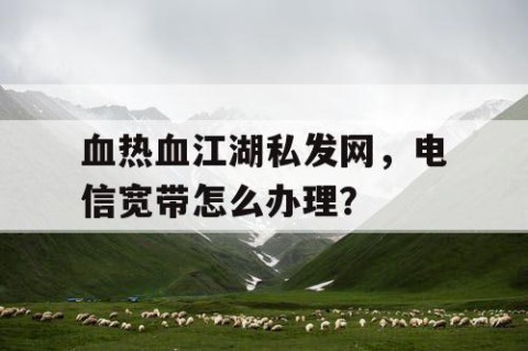 血热血江湖私发网，电信宽带怎么办理？