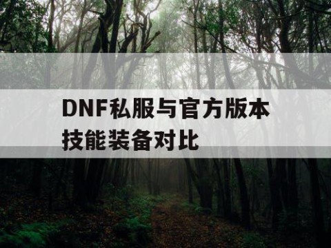 DNF私服与官方版本技能装备对比