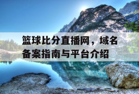 篮球比分直播网，域名备案指南与平台介绍