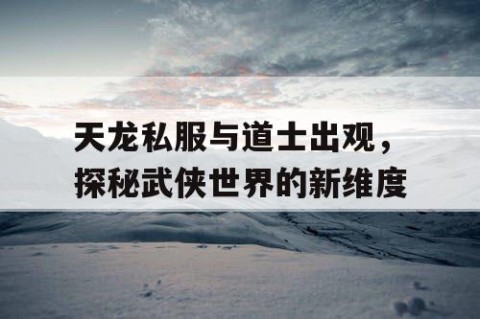 天龙私服与道士出观，探秘武侠世界的新维度
