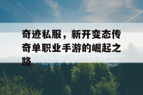 奇迹私服，新开变态传奇单职业手游的崛起之路