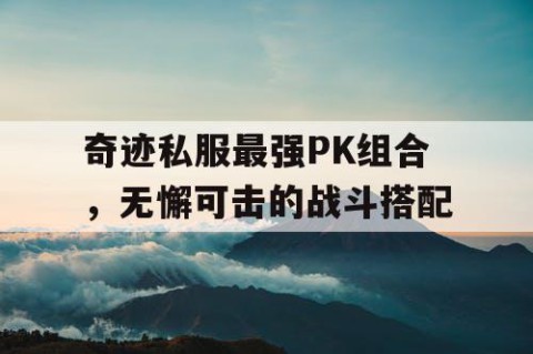 奇迹私服最强PK组合，无懈可击的战斗搭配