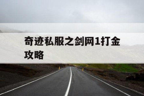 奇迹私服之剑网1打金攻略