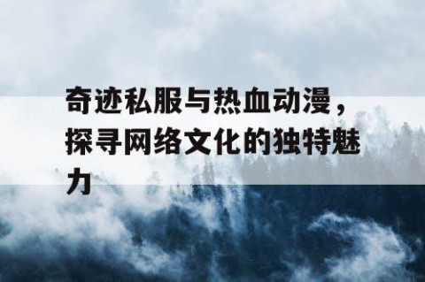 奇迹私服与热血动漫，探寻网络文化的独特魅力