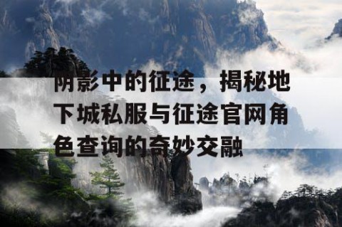 阴影中的征途，揭秘地下城私服与征途官网角色查询的奇妙交融