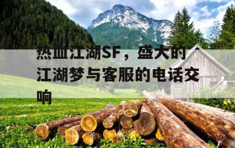 热血江湖SF，盛大的江湖梦与客服的电话交响