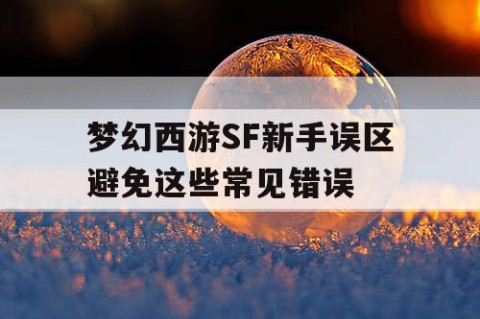 梦幻西游SF新手误区避免这些常见错误