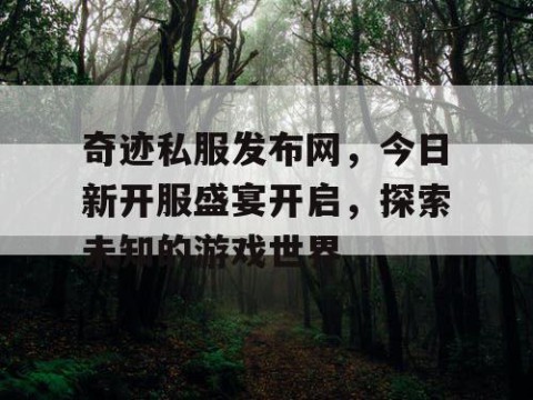 奇迹私服发布网，今日新开服盛宴开启，探索未知的游戏世界