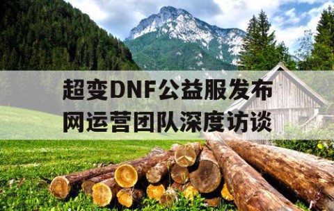 超变DNF公益服发布网运营团队深度访谈