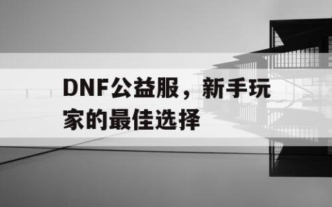 DNF公益服，新手玩家的最佳选择