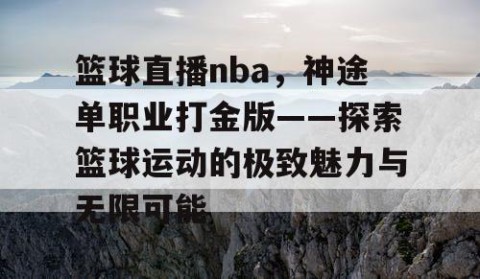 篮球直播nba，神途单职业打金版——探索篮球运动的极致魅力与无限可能