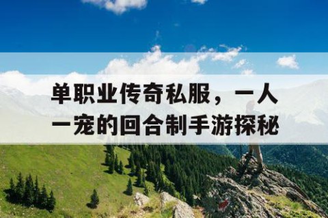 单职业传奇私服，一人一宠的回合制手游探秘