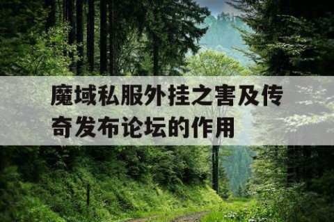 魔域私服外挂之害及传奇发布论坛的作用