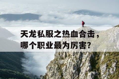 天龙私服之热血合击，哪个职业最为厉害？