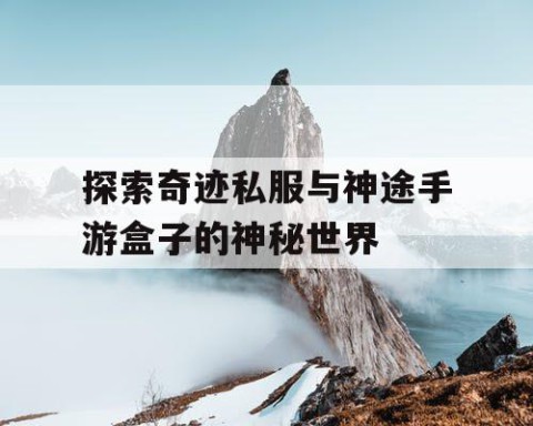 探索奇迹私服与神途手游盒子的神秘世界