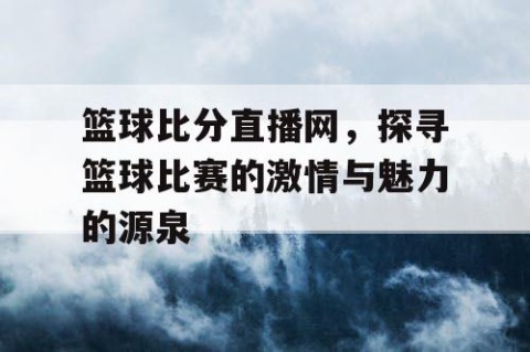 篮球比分直播网，探寻篮球比赛的激情与魅力的源泉