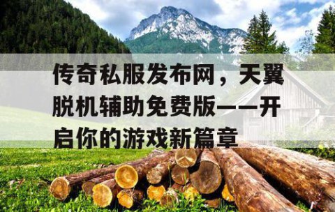 传奇私服发布网，天翼脱机辅助免费版——开启你的游戏新篇章