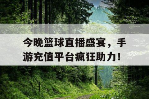 今晚篮球直播盛宴，手游充值平台疯狂助力！