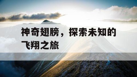 神奇翅膀，探索未知的飞翔之旅