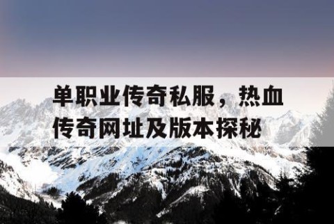 单职业传奇私服，热血传奇网址及版本探秘