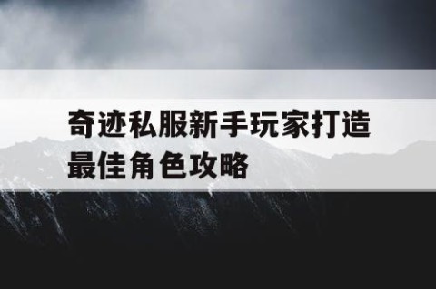 奇迹私服新手玩家打造最佳角色攻略