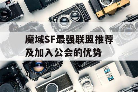 魔域SF最强联盟推荐及加入公会的优势