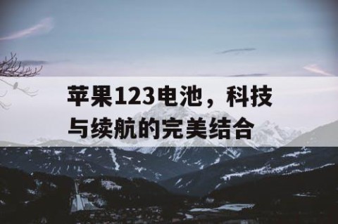 苹果123电池，科技与续航的完美结合