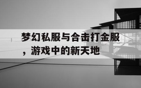 梦幻私服与合击打金服，游戏中的新天地