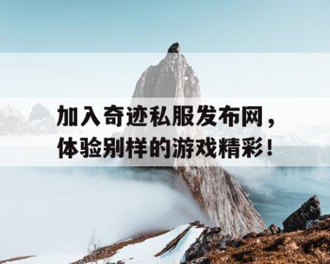 加入奇迹私服发布网，体验别样的游戏精彩！