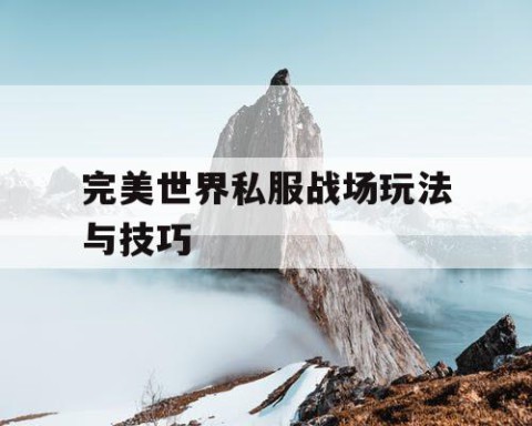 完美世界私服战场玩法与技巧