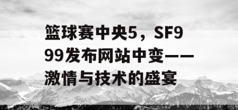 篮球赛中央5，SF999发布网站中变——激情与技术的盛宴