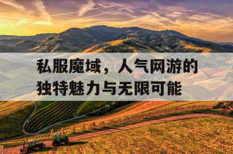 私服魔域，人气网游的独特魅力与无限可能