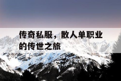 传奇私服，散人单职业的传世之旅