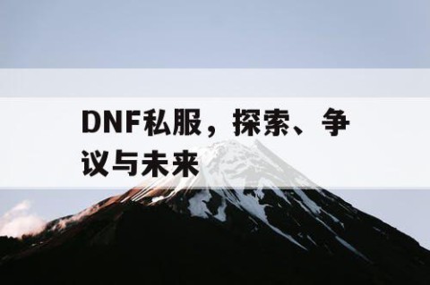 DNF私服，探索、争议与未来