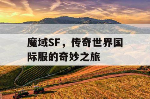 魔域SF，传奇世界国际服的奇妙之旅