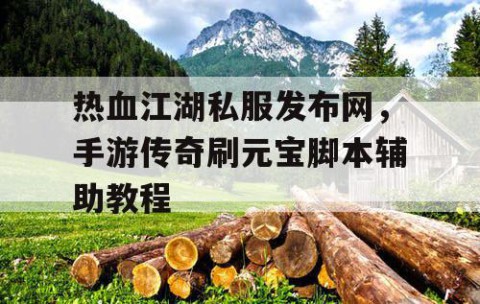 热血江湖私服发布网，手游传奇刷元宝脚本辅助教程